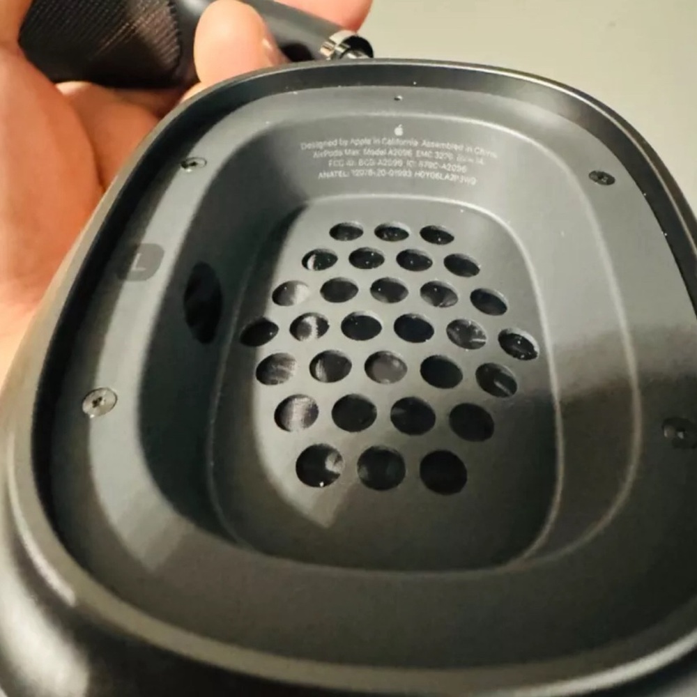 Apple headphones black